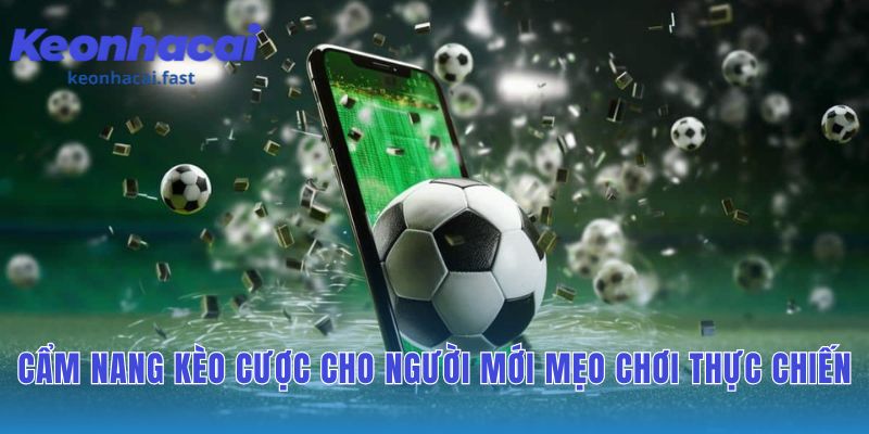 Người mới bắt đầu với nguyên tắc quản lý vốn 2-5%