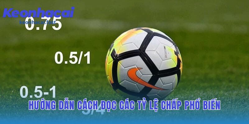 Phân tích chi tiết kèo châu á giúp giải mã các tỷ lệ cược