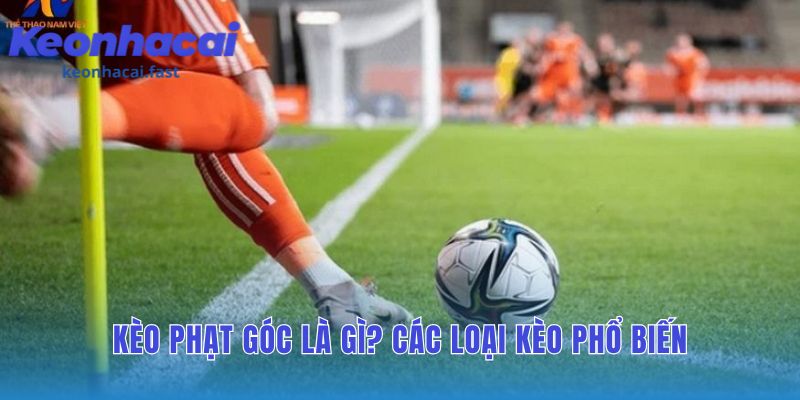 Các loại cược góc gồm Tài Xỉu Chấp và kèo 1X2