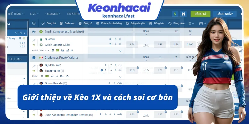 Tổng quan nhanh về Kèo 1X