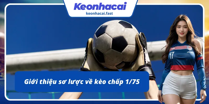 Giới thiệu sơ lược về tỷ lệ chấp 1/75