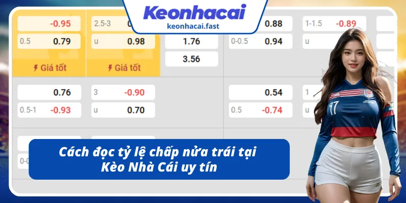 Cách đọc tỷ lệ 0.5 bàn tại thương hiệu uy tín