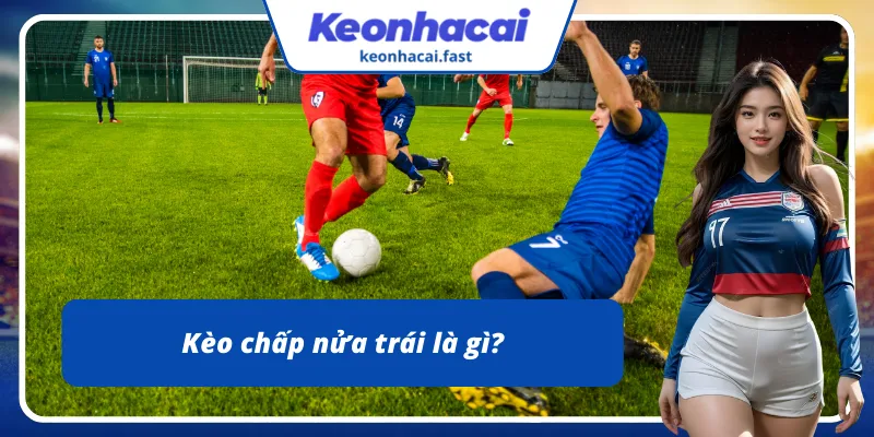 Tỷ lệ chấp nửa bàn là gì?