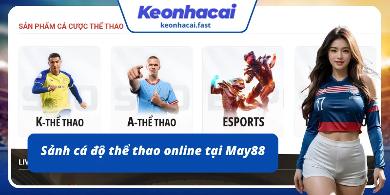 Tham gia cá độ thể thao - Đa dạng kèo cược