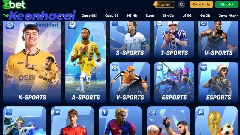 ZBET là trang đặt kèo bóng đá uy tín bậc nhất Việt Nam